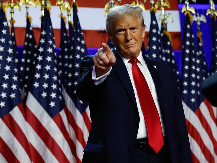 7be07d10767a4755950f770edd814106_md Donald Trump Wins The 2024 Presidential Election