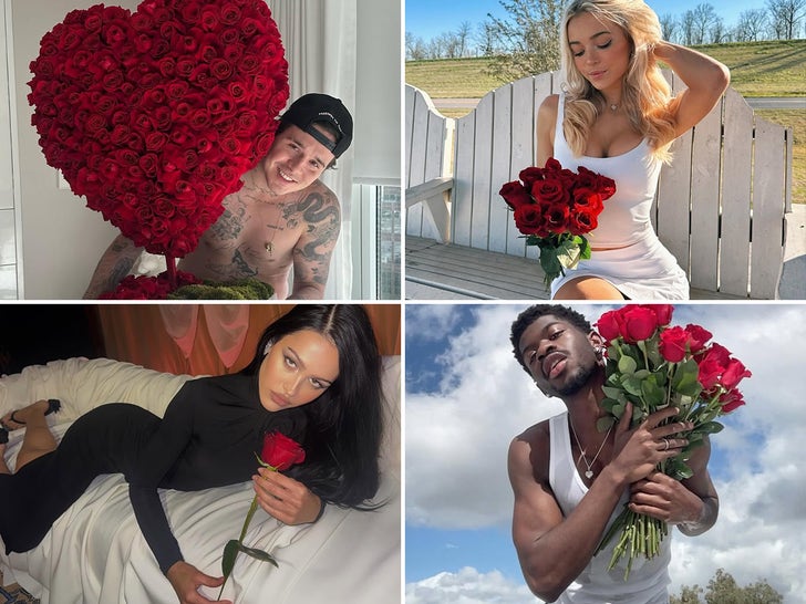 7e80de837f3f4fbdb3897f8ef0f14697_md Stars With Red Roses