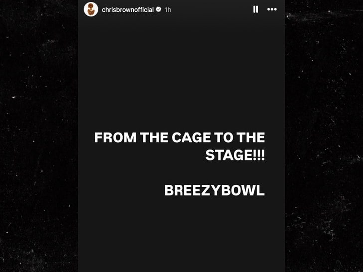 chris brown breezy bowl instagram story sub