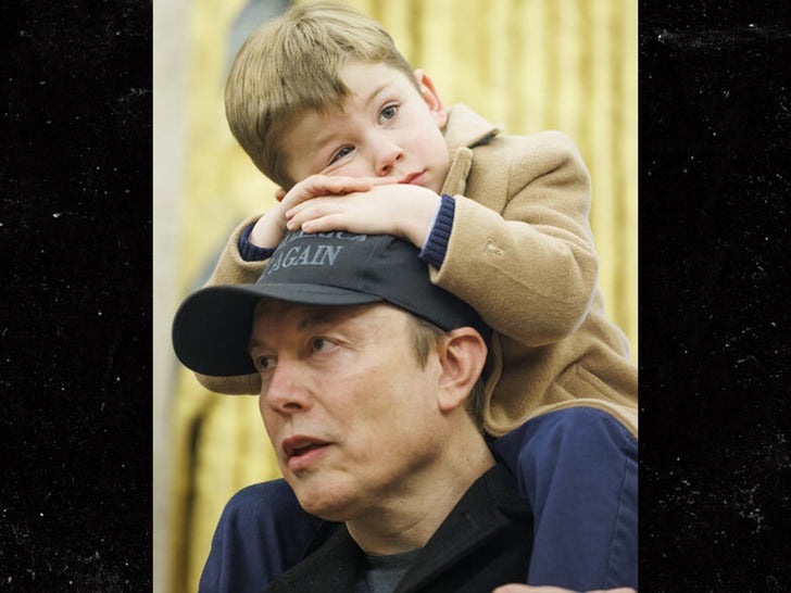 820960a4c30646b2b5da0443b420eda6_md 0211-X-Musk-Elon-Musk-SUB