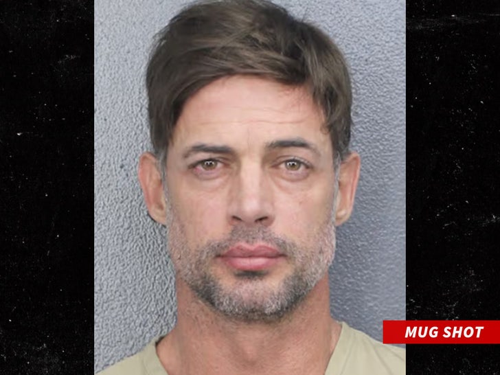 william levy mug shot Broward Sheriff's Office sub swipe