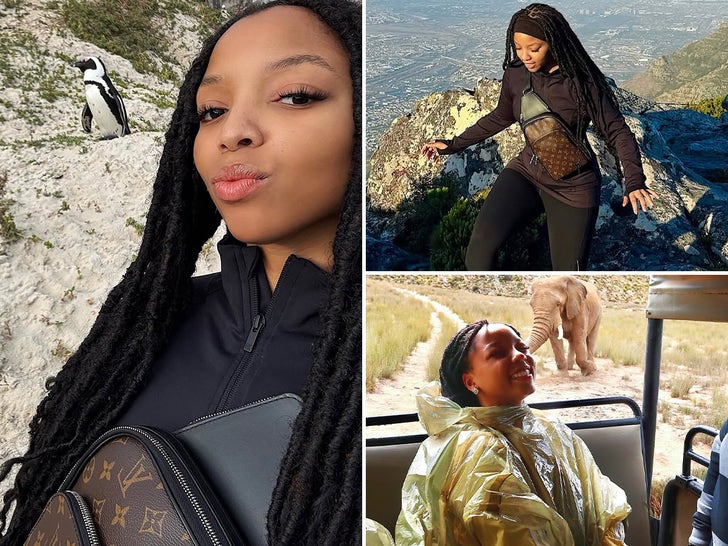 Explore The Wild On Chloe Bailey's South Africa Safari Trip