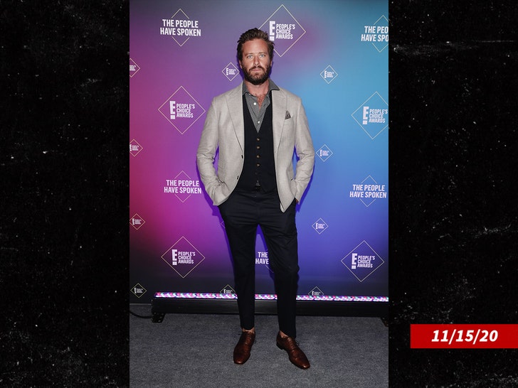 876dc43908eb4989a3f86e7241485702_md armie hammer