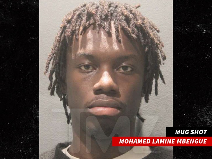 Mohamed Lamine Mbengue mug shot 1
