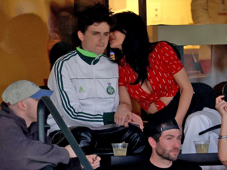 8e038d4207824096bb77a59f2a092294_md kylie jenner and timothee chalamet getty 1