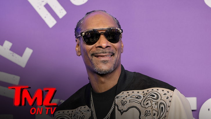 8e4fbe1d1e9e4920800dcdd1116f057a_md snoop