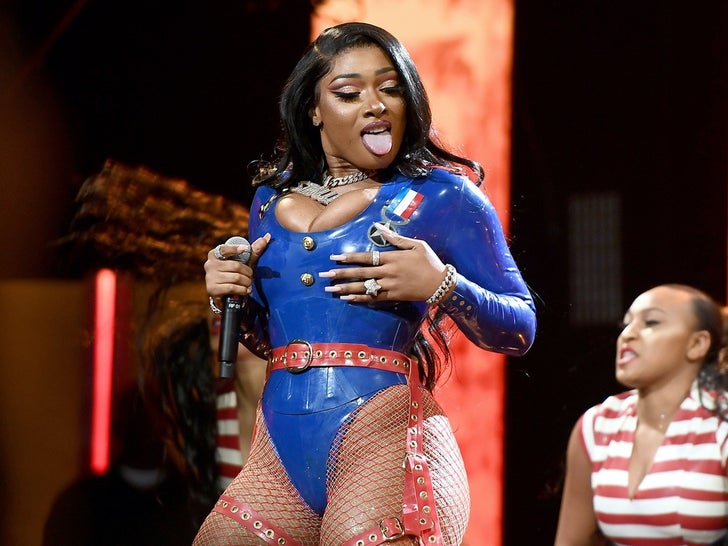 8e661308a5f8416d9691402ba42e3123_md Megan Thee Stallion Performance Photos