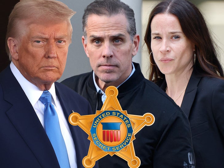 8f0f55b77dfe473199e9408136fbec10_md 0317 donald trump hunter biden Ashley Biden getty comp 2