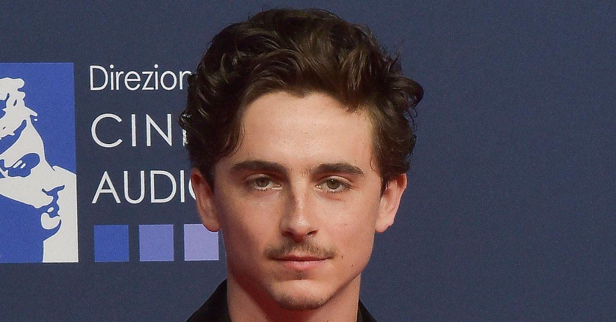 9-1760985929172 picture of Timothée Chalamet