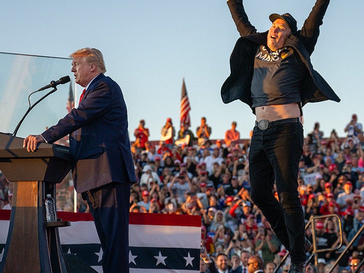 Elon Musk And Donald Trump Happier Times