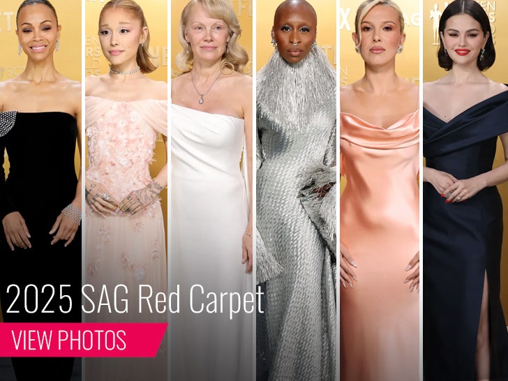 9769e96bd012493d856cc4654d145a78_md-1 SAG Awards Red Carpet