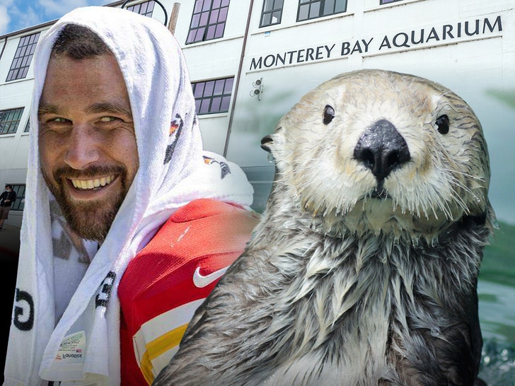 travis kelce and sea otters getty 1