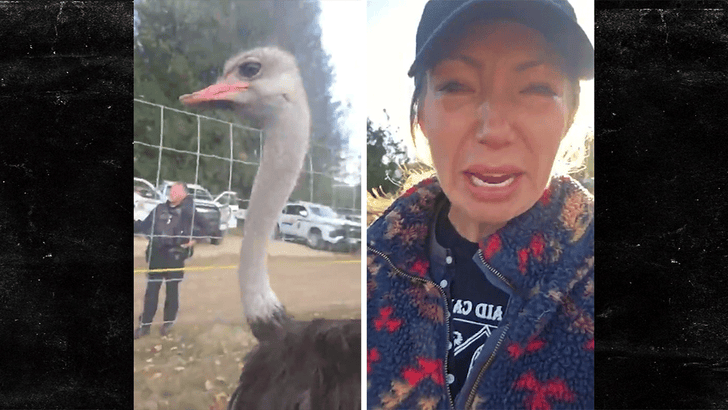9a3030f1ea8c44fb8f0adcb79d3fb78a_md 092425_ostrich_farm_arrest_kal