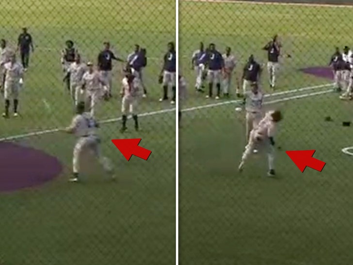 9adf54bc3610476190a4b48599d3bc48_md PVAMU vs JSU baseball brawl