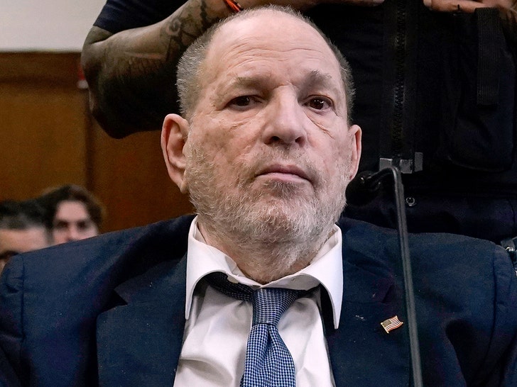 9b2606e638264c22a6a75165c57c0e5d_md harvey weinstein getty 1