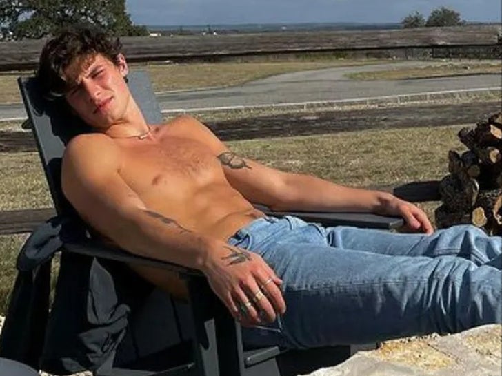 0807-Shawn-Mendes-Shirtless-Shots-Sub2