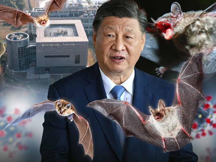 President Xi Jinping on covid usa getty 3