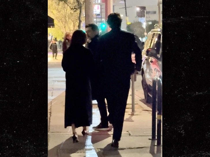 a0426d671fb54584bdea193fec5bdeba_md Zoë Kravitz & Noah Centineo Spotted Leaving Pre-Oscars Party Together