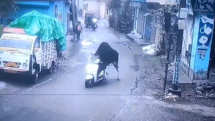 a30fadf4b08d4328b244e47e4349405c_md 050925_bull_scooter_kal