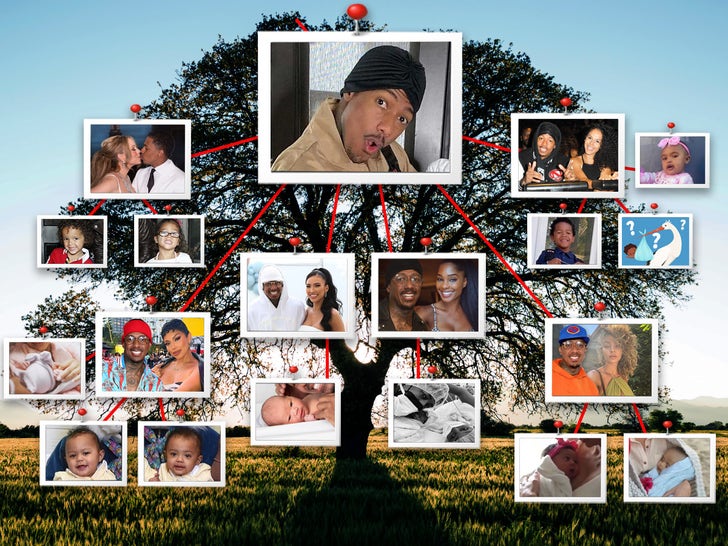a38024a93c834c96bb92e1d31937f8a9_md Nick Cannon's Entangled Family Tree