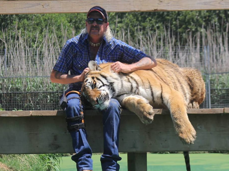 a3e7676e1e16410aae0d03141aadca48_md-1 Joe Exotic's Wild Photos