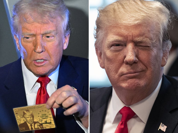 Donald Trump Living Large