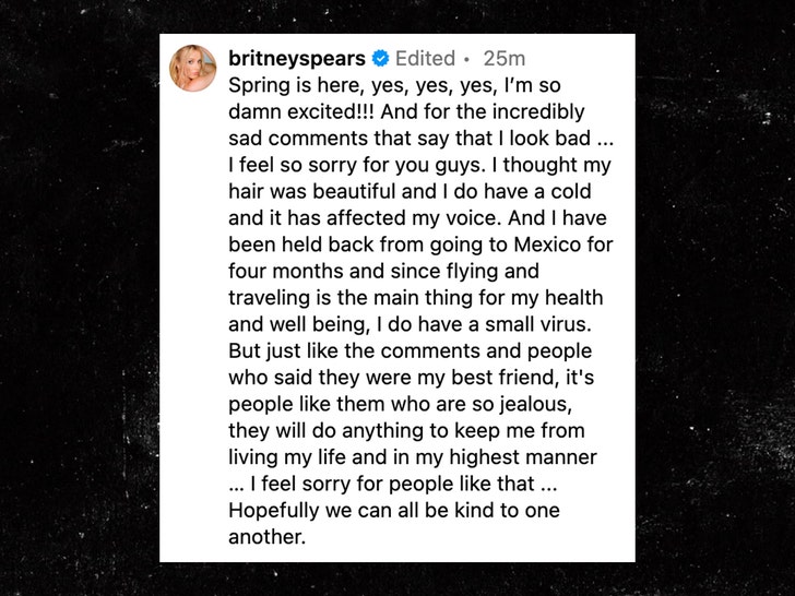britney spears statement insta 1