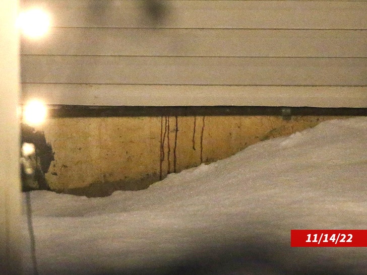 moscow-idaho-murder-house-backgrid-1