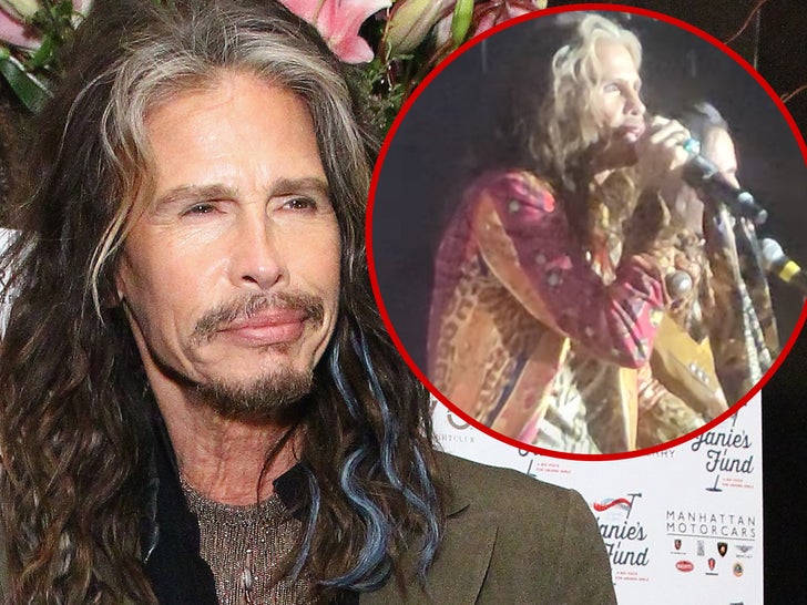 aa6c032302f8412e85429a1923767897_md steven tyler SINGING