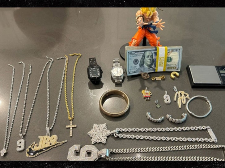 joe burrow burglary suspects