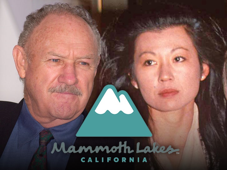 gene hackman betsy arakawa mammoth lakes hantavirus main getty shutterstock Composite