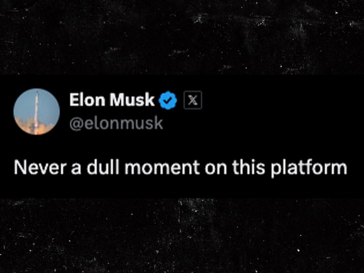 elon musk tweet x