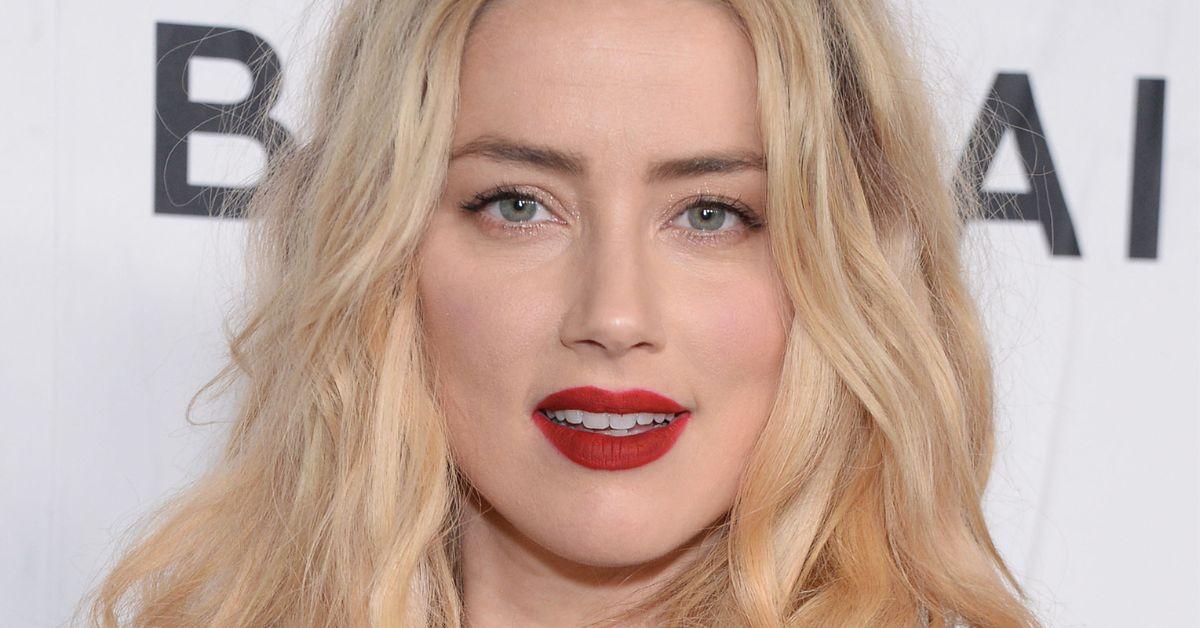 amber-heard-mega-1733258924435 amber heard mega
