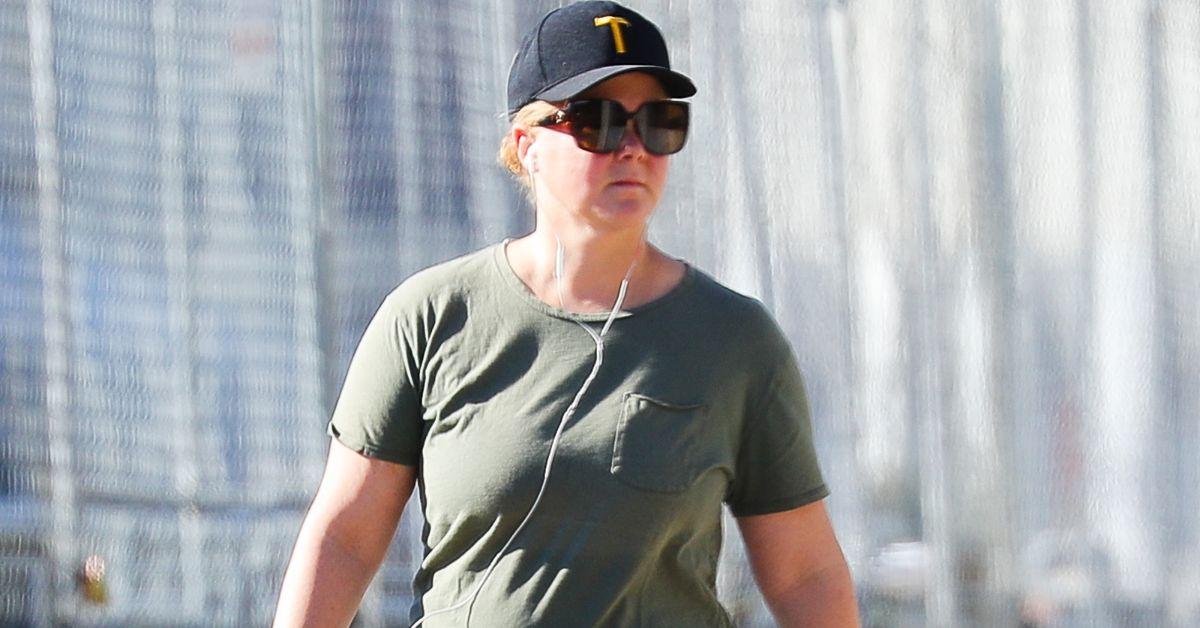amy-schumers-health-crisis-doctors-warn-comic-may-be-crippled-for-life-1-1756297311308 Dr. Gabe Mirkin warned Amy Schumer's spinal surgery could easily go terribly wrong.