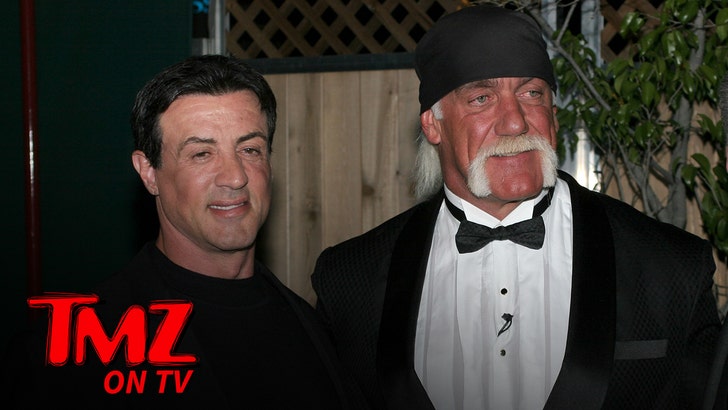 b1901a3a85ff4e5b8bf5c52e5c7ce0d7_md hulk-sly-tmz-tv