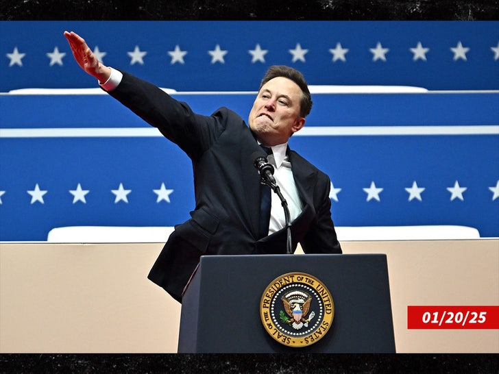 b525f96b8f444d669d69a5790561c353_md elon musk salute sub getty swipe