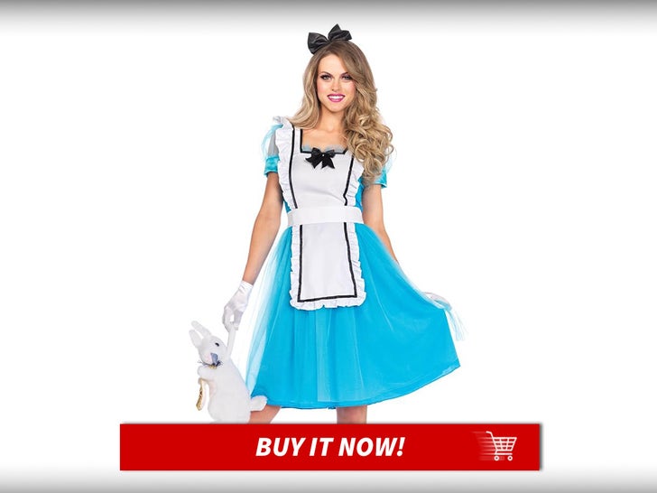 b5461e5e17344b2489bcea9730ebb310_md Alice-Leg-Avenue-Fairy-Tale-Costumes-MAIN