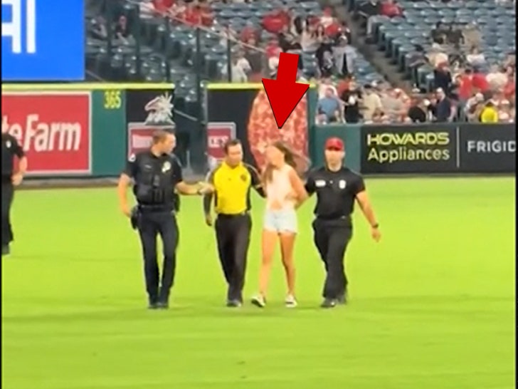 TikToker arrested on baseball field
