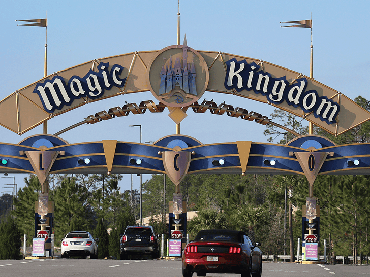 Inside Disney World