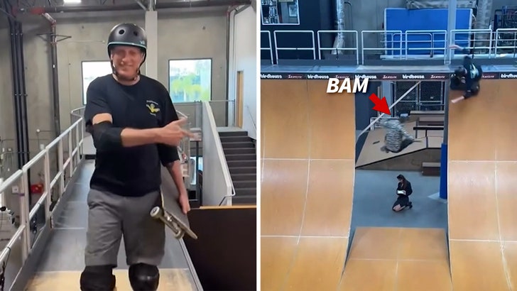 bab404c111d74191b0d6d6d317c51f3d_md 032425_bam_margera_tony_hawk_kal