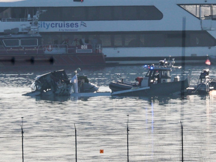 bb8c92ee827047529eb050d8fe683bbd_md-1 Emergency Crews Respond To Plane Crash Near Reagan Airport