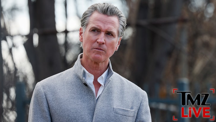 bbf0e8ad869e46158bf17586a29ed7d0_md newsom_fox_news_kal