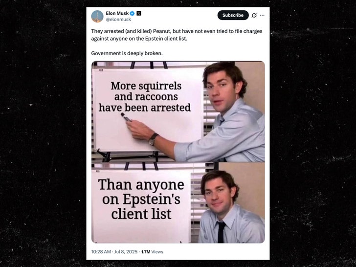 elon-musk-pnut-the-squirrel-x-1