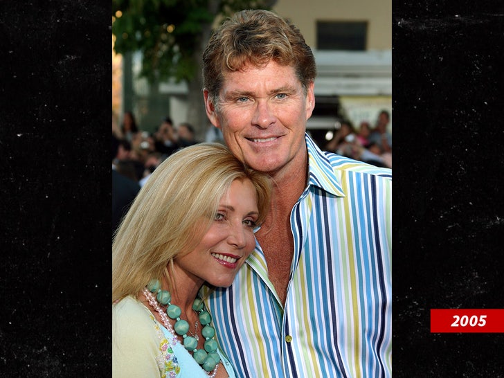 bc4c63f0514a420c955cb9b277fa9bfc_md pamela bach david hasselhoff sub shutterstock swipe