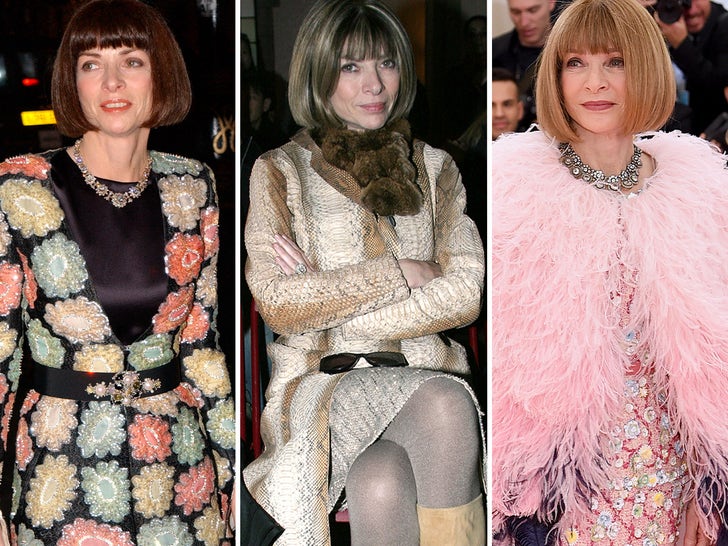 bd9376d9a0e747d5b0c0d317e5205656_md Anna Wintour Through The Years