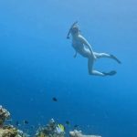 The Chainsmokers Singer Drew Taggart Gets Unwanted Visitor at L.A. Home