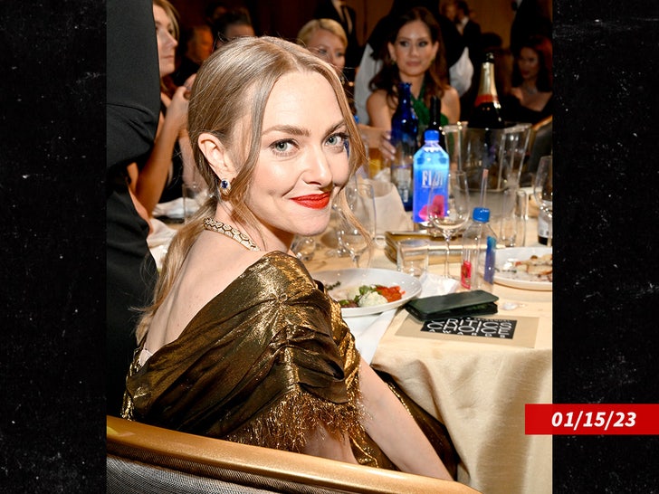 bdfc1e401b46427b9d605d3b997a6a4c_md Amanda Seyfried sub getty swipe