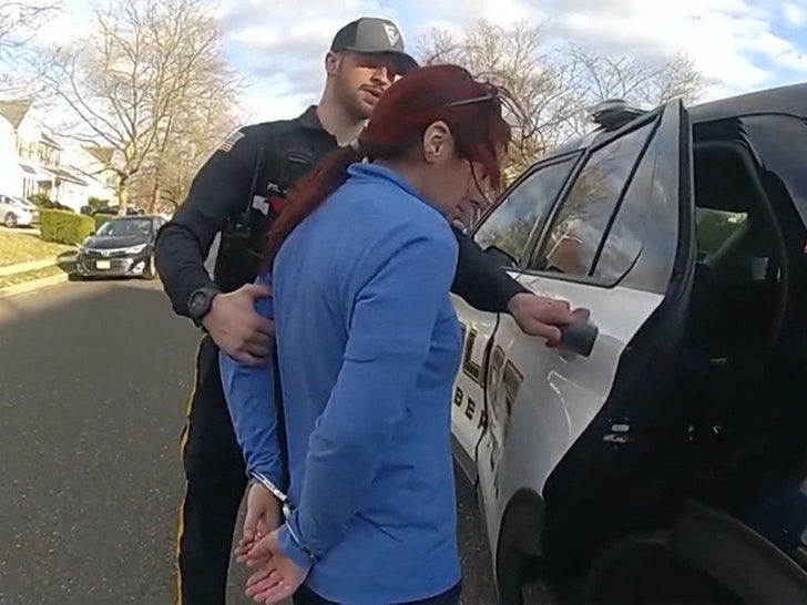 beabc6bdbc7644789883a2ec45fb86c5_md 032825-mayor-arrested-cuffs