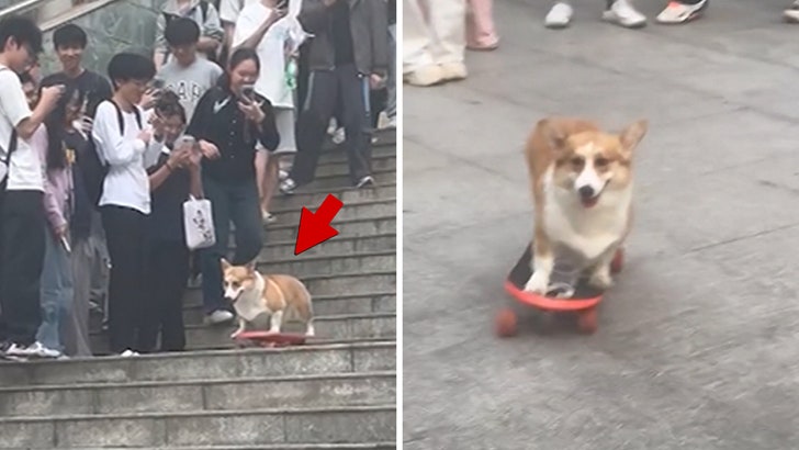 081925_corgi_skateboard_kal