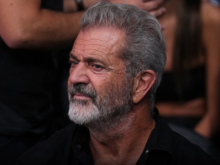 0403-mel-gibson-gun-rights-getty-1
